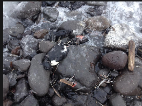 Nordex vor einer Neubewertung 667403