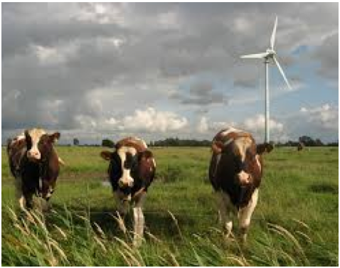 PNE Wind AG - WindStärke 12 668628