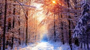 COOP News (ehemals: Wamu /WMIH) 677970