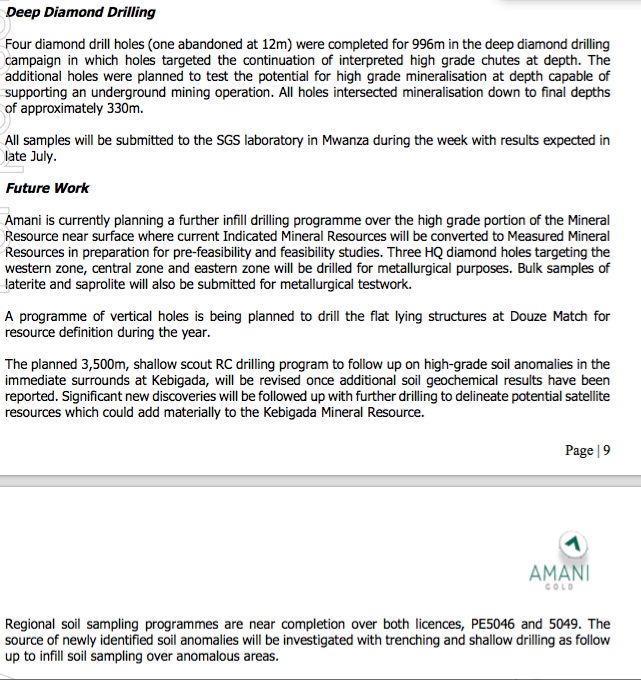 Amani Gold (ehemals Burey Gold) 1000287