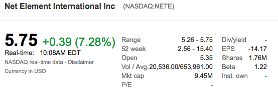 Net Element: Focused To Grow 1019704