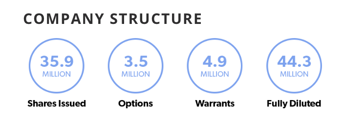 netcents, die neue online zahlungsplattform 1028132