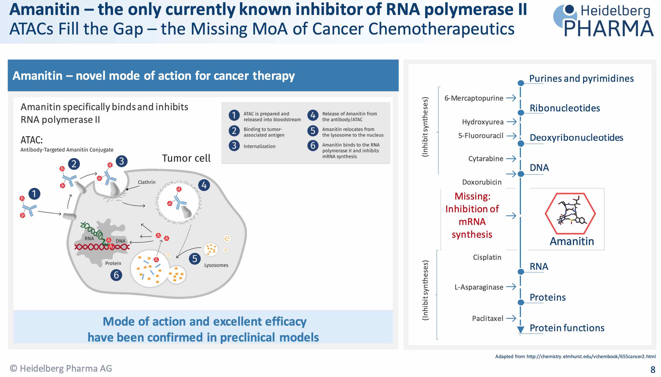 Heidelberg Pharma AG 1216368