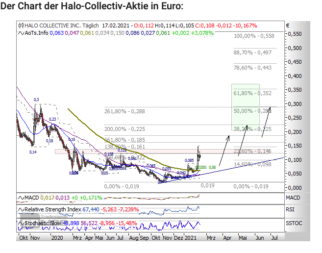 Halo Collective Inc. 1234648