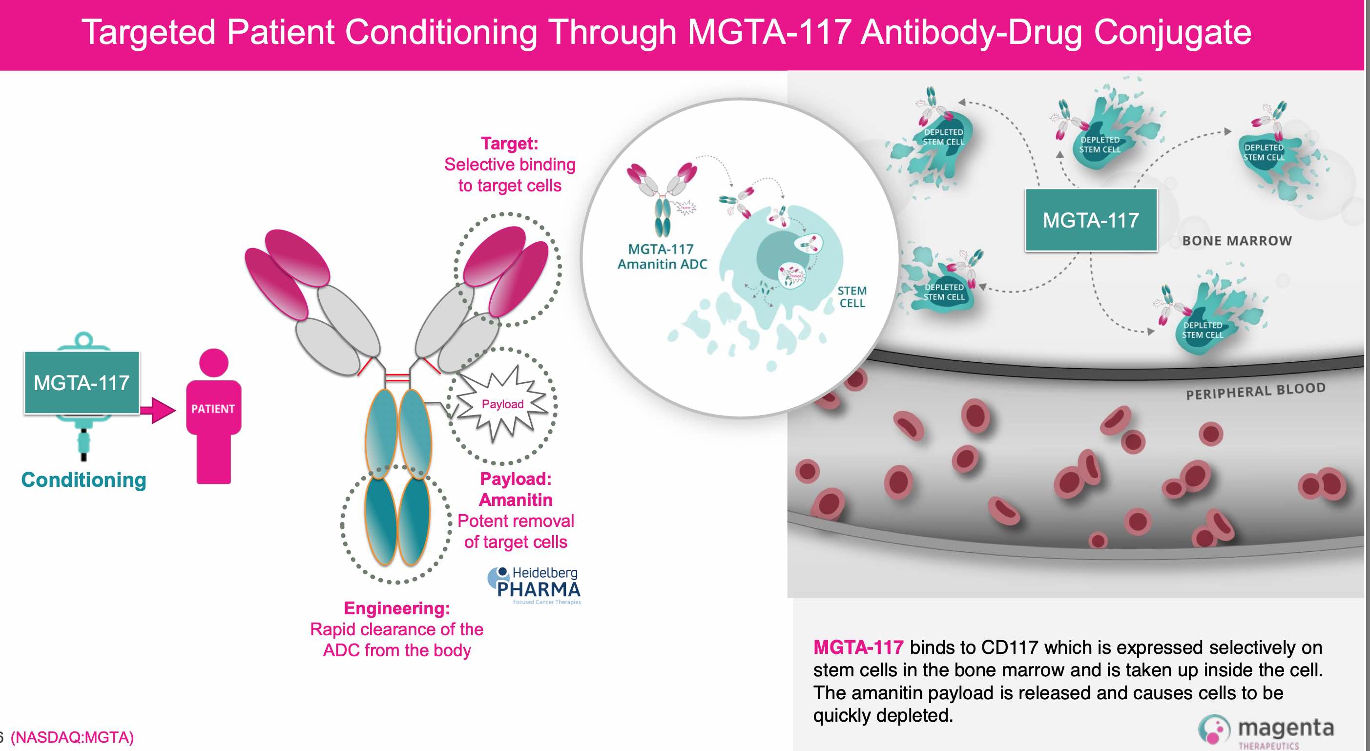 Heidelberg Pharma AG 1239380