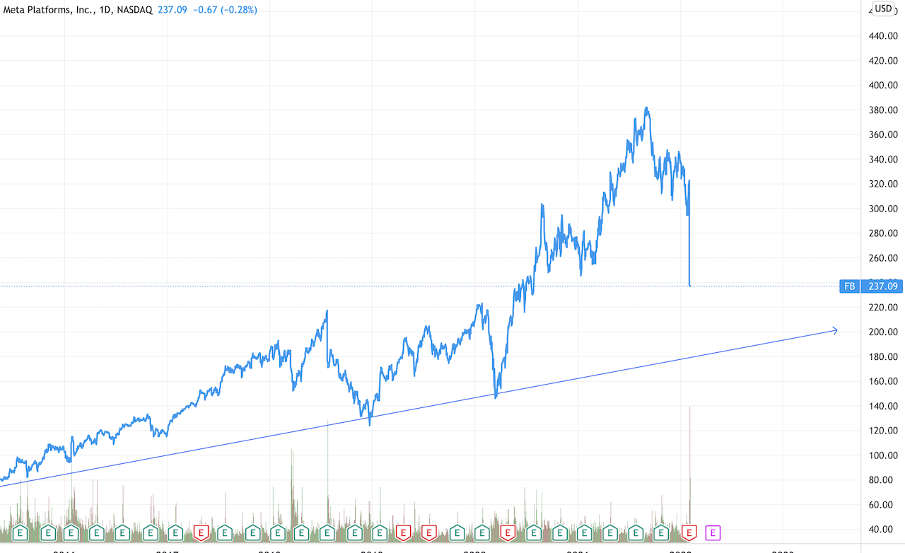 Facebook der Anfang vom Ende der Tulpen-Hausse? 1298108