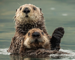 Biotech-Star BioNTech aus Mainz 1290047