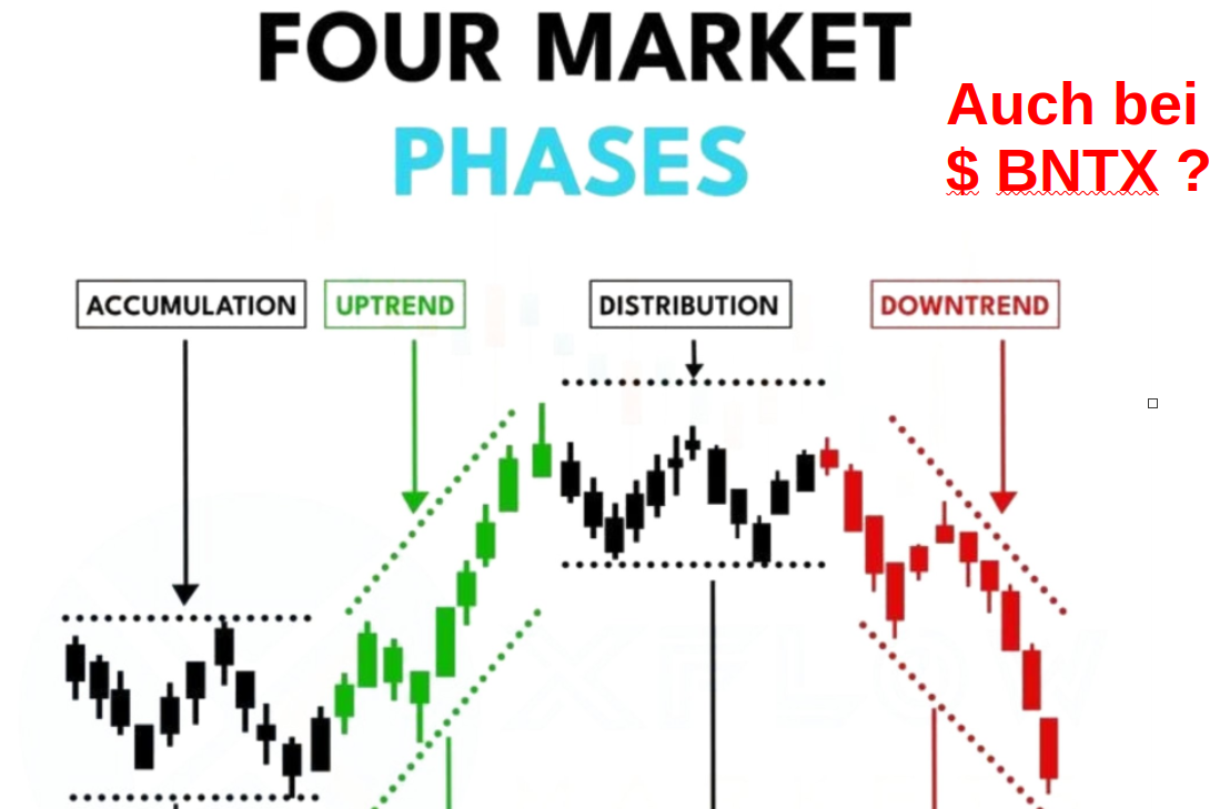Biotech-Star BioNTech aus Mainz 1390953