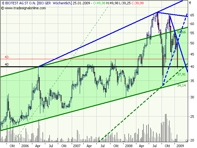 Biotest AG im internationalen Branchenvergleich 212228