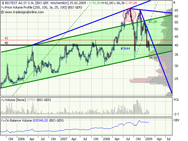 Biotest AG im internationalen Branchenvergleich 216344