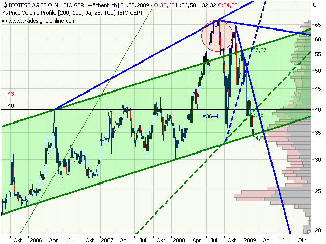 Biotest AG im internationalen Branchenvergleich 219355