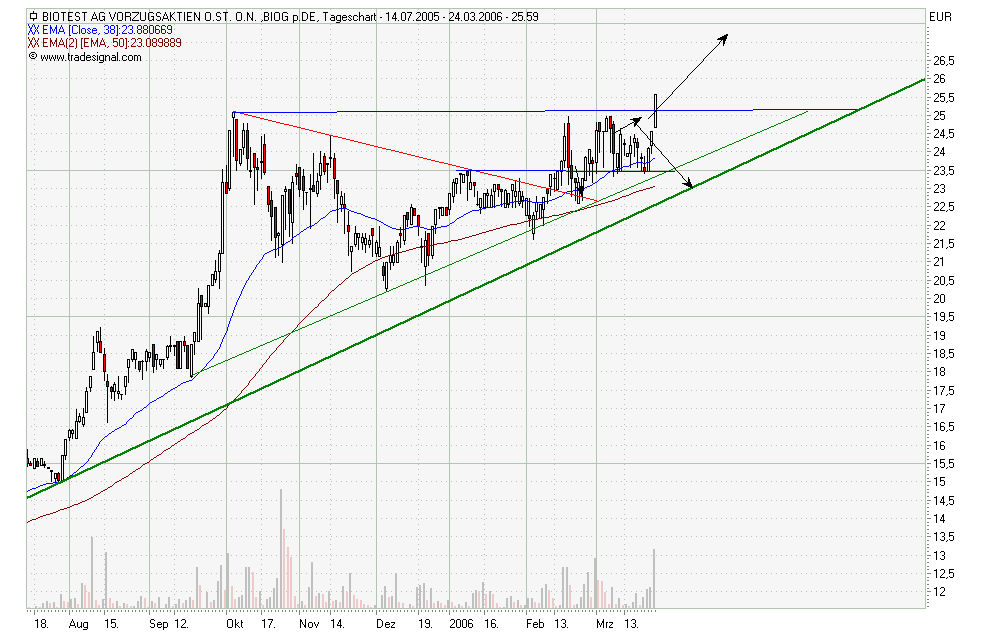 Biotest WKN 522720 34365