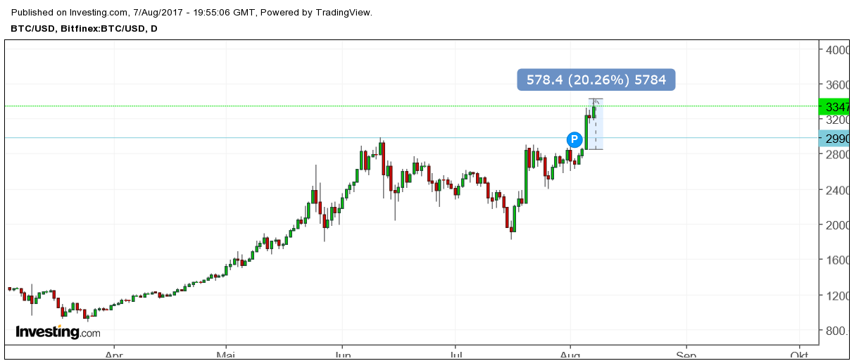 Der USA Bären-Thread 1005722