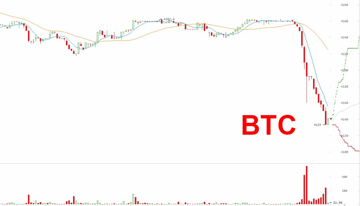 Der USA Bären-Thread 1011954