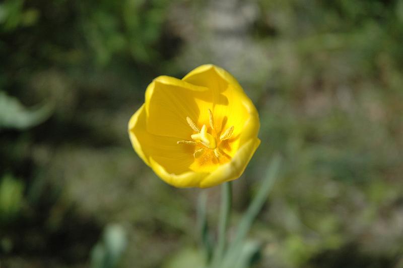 857.DAX-Tipp-Spiel **Montag** 25.08.08-17.45 Uhr 182002