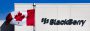 Blackberry- Die Rallye beginnt. 17051807