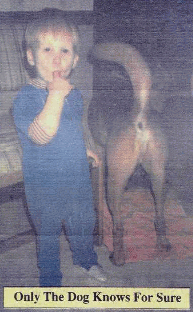 Hart aber Fair ! 204008