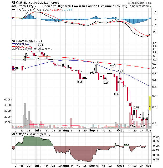  Bear Lake Gold LTD NEW : Aus 2 mach 1! 197184