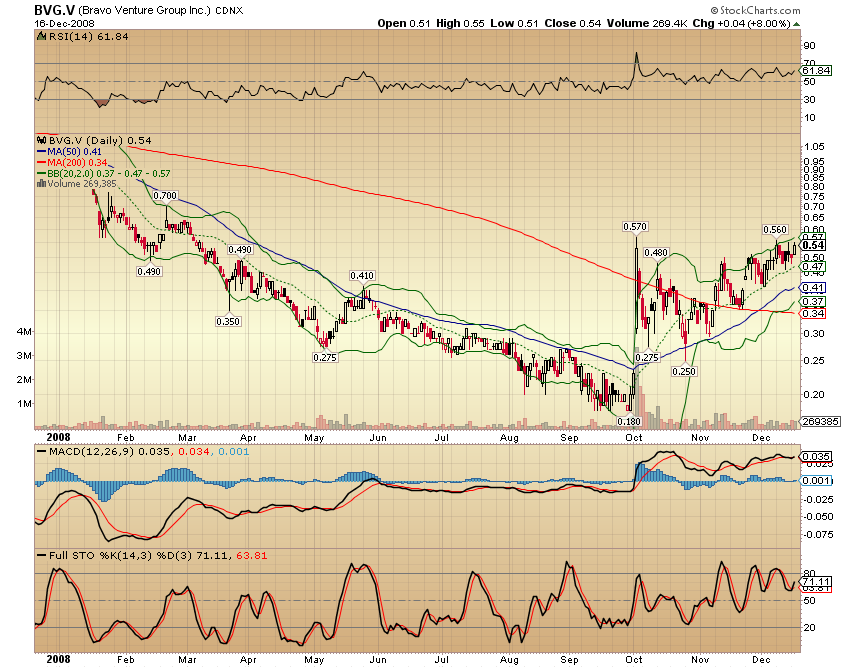  Bear Lake Gold LTD NEW : Aus 2 mach 1! 206029
