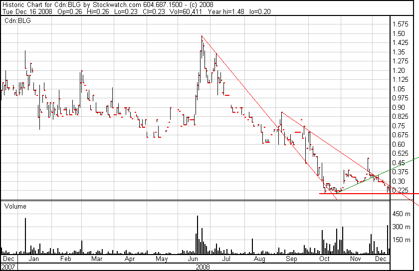  Bear Lake Gold LTD NEW : Aus 2 mach 1! 206032