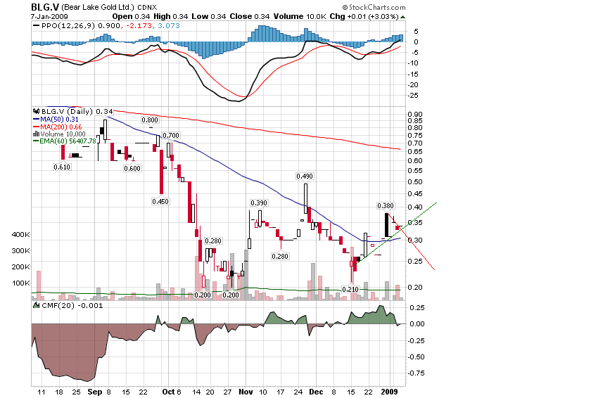  Bear Lake Gold LTD NEW : Aus 2 mach 1! 209239