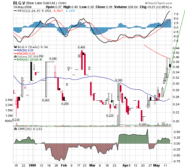  Bear Lake Gold LTD NEW : Aus 2 mach 1! 233245