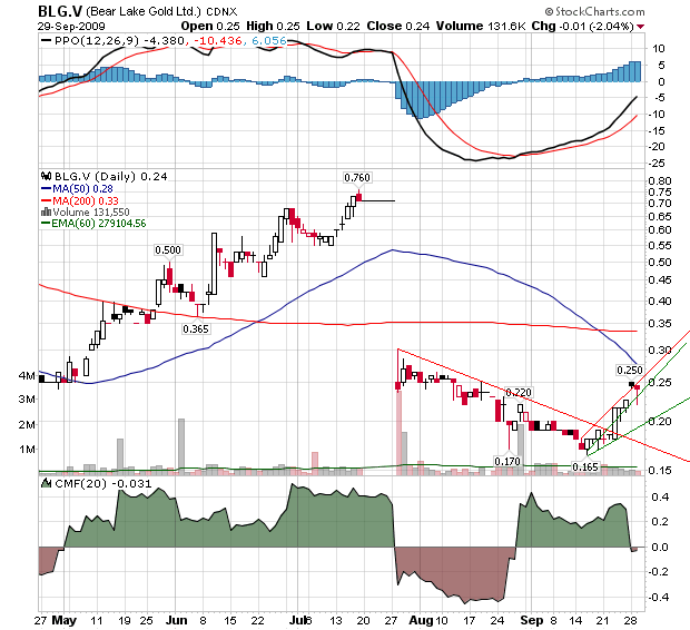  Bear Lake Gold LTD NEW : Aus 2 mach 1! 263356