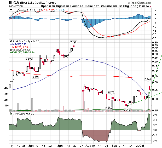  Bear Lake Gold LTD NEW : Aus 2 mach 1! 266495