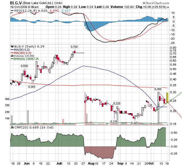  Bear Lake Gold LTD NEW : Aus 2 mach 1! 268106