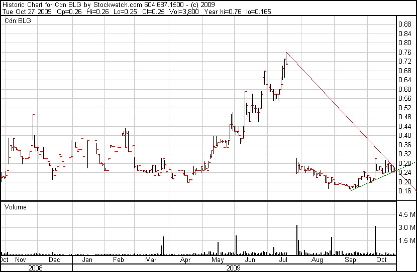  Bear Lake Gold LTD NEW : Aus 2 mach 1! 270573