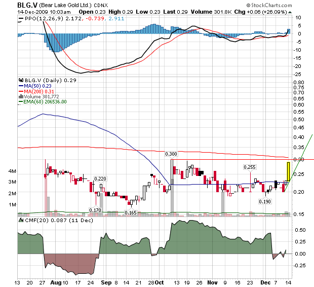  Bear Lake Gold LTD NEW : Aus 2 mach 1! 283408