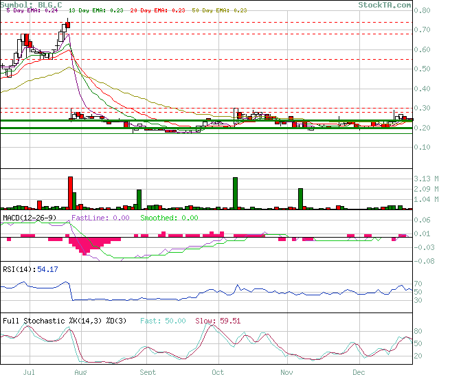  Bear Lake Gold LTD NEW : Aus 2 mach 1! 286039