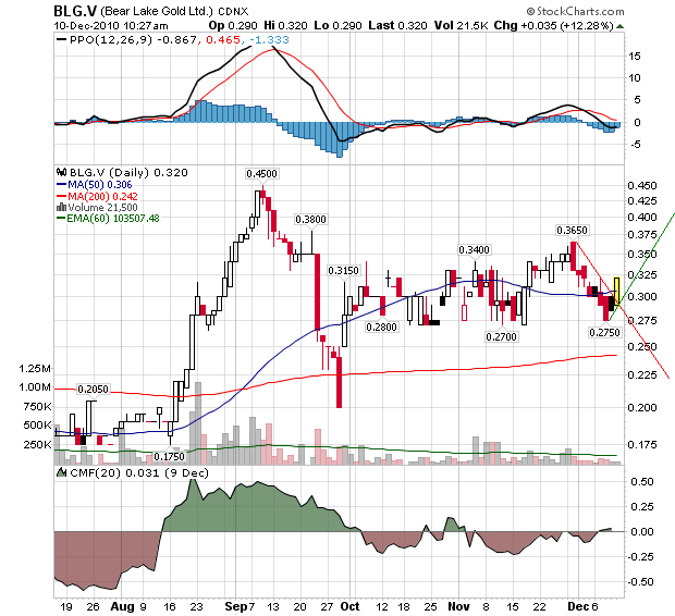  Bear Lake Gold LTD NEW : Aus 2 mach 1! 365083