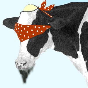 Quo Vadis Dax 2011 - All Time High? 470283