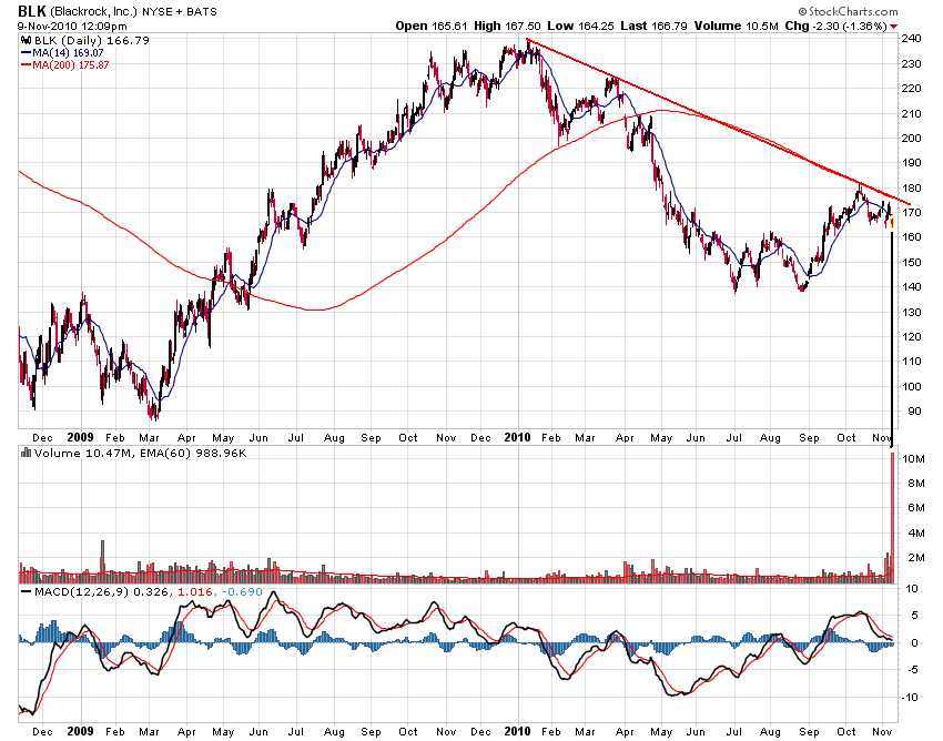 Der USA Bären-Thread 357256