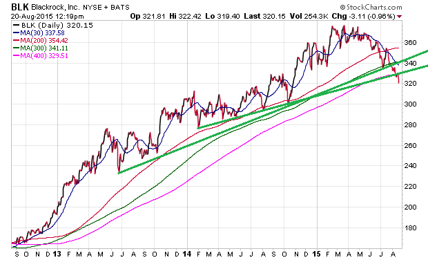 Der USA Bären-Thread 850949