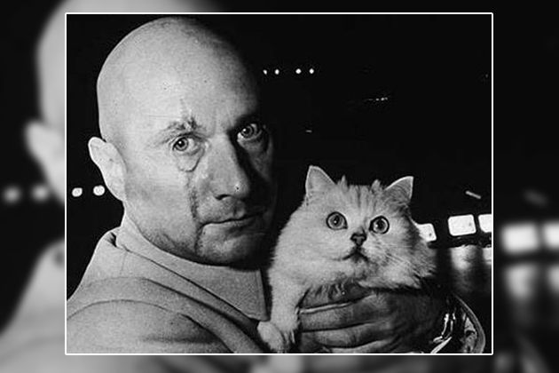 Netcents Technology Thread moderiert A2AFTK 1051257