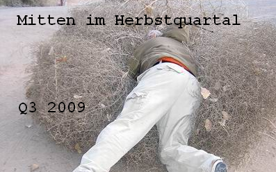 Der USA Bären-Thread 269790