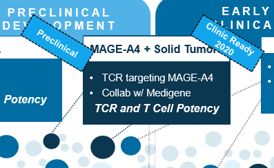 Medigene - Kurse/Quatschen/Charts/Einzeiler..u.s.w. 1122831