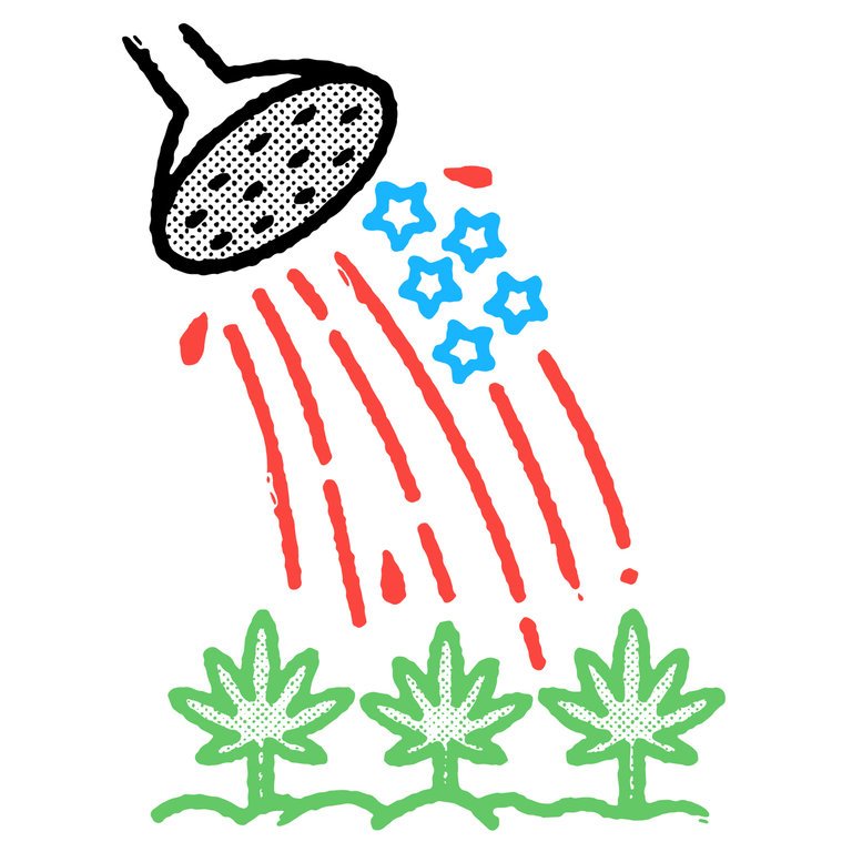 General Cannabis - Wkn: A14VV9 - Aktie 947024