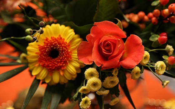 1.396.DAX Tipp-Spiel, Donnerstag, 07.10.10 349738