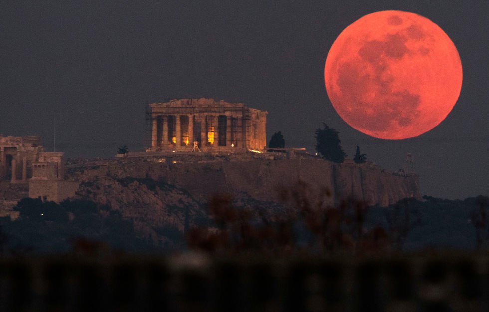 Der USA Bären-Thread 1066889