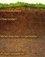 Der USA Bären-Thread 203794