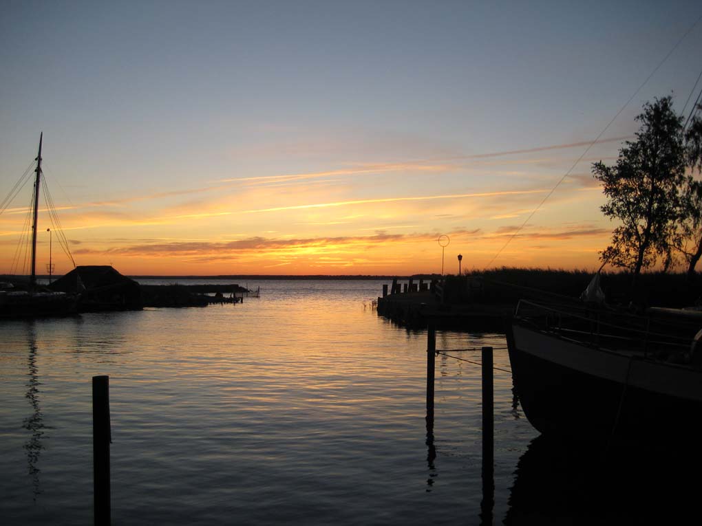 Der USA Bären-Thread 252726