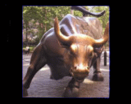 Net AG 2007, Gewinnverdoppelung in Sicht 114769