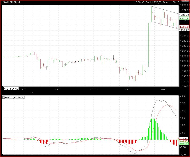 Gundels kleine Marktanalyse 343455