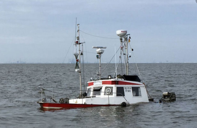 Wirecard 2014 - 2025 1188403