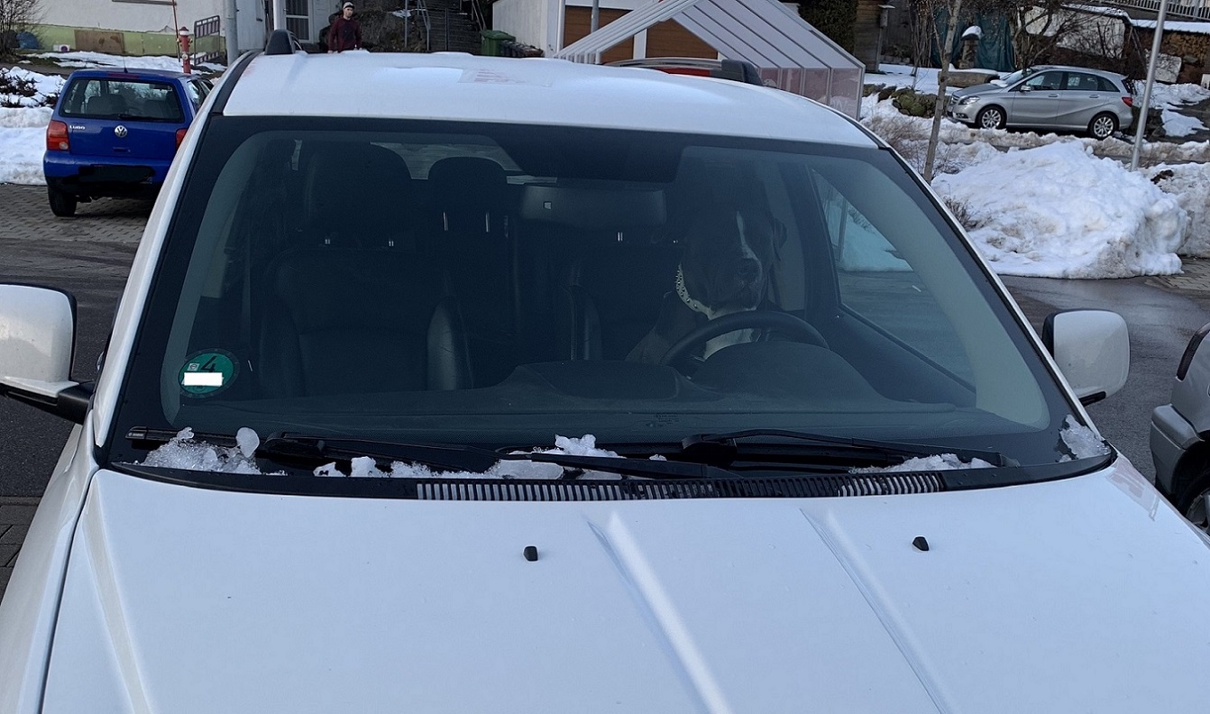 Tesla - Autos, Laster, Speicher und Solardächer 1158937