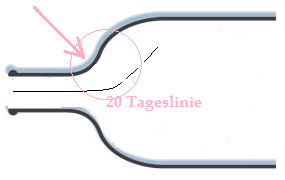 Wesleys Flugschule - US Auslese 586616