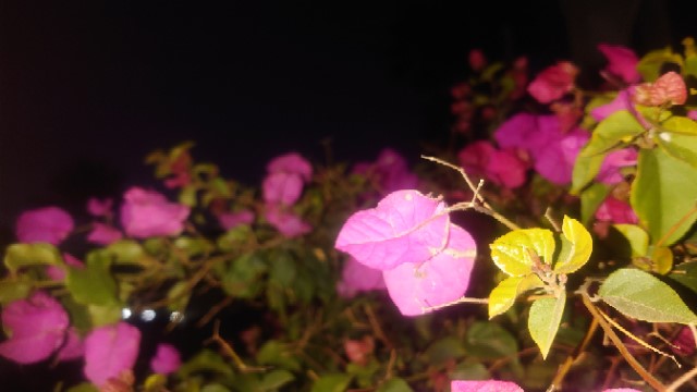 Trading Bougainville Copper (ADRs) 867948 1413587